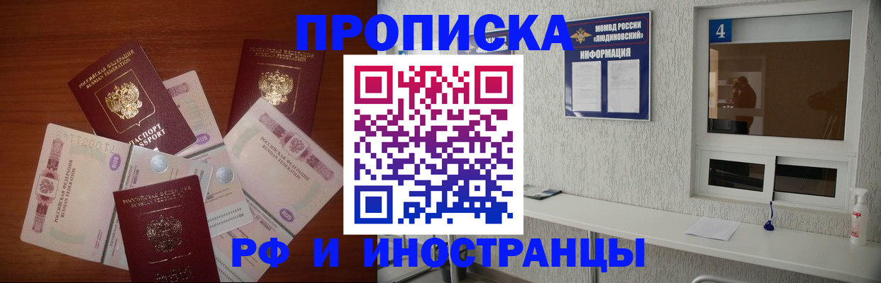 прописка ребенка в Шилке